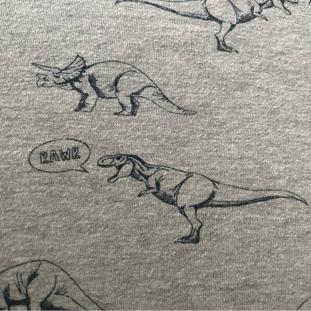 Women’s Small Sugarhill Boutique Charcoal Dinosaur Graphic Sweatshirt Dinos